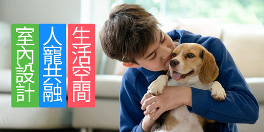 室內設計  人寵共融 生活空間